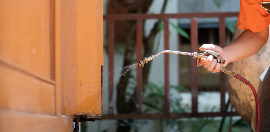 Seasonal Pest Control